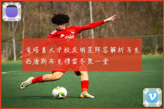 肯塔基大学校友明星阵容解析马克西唐斯布克穆雷齐聚一堂
